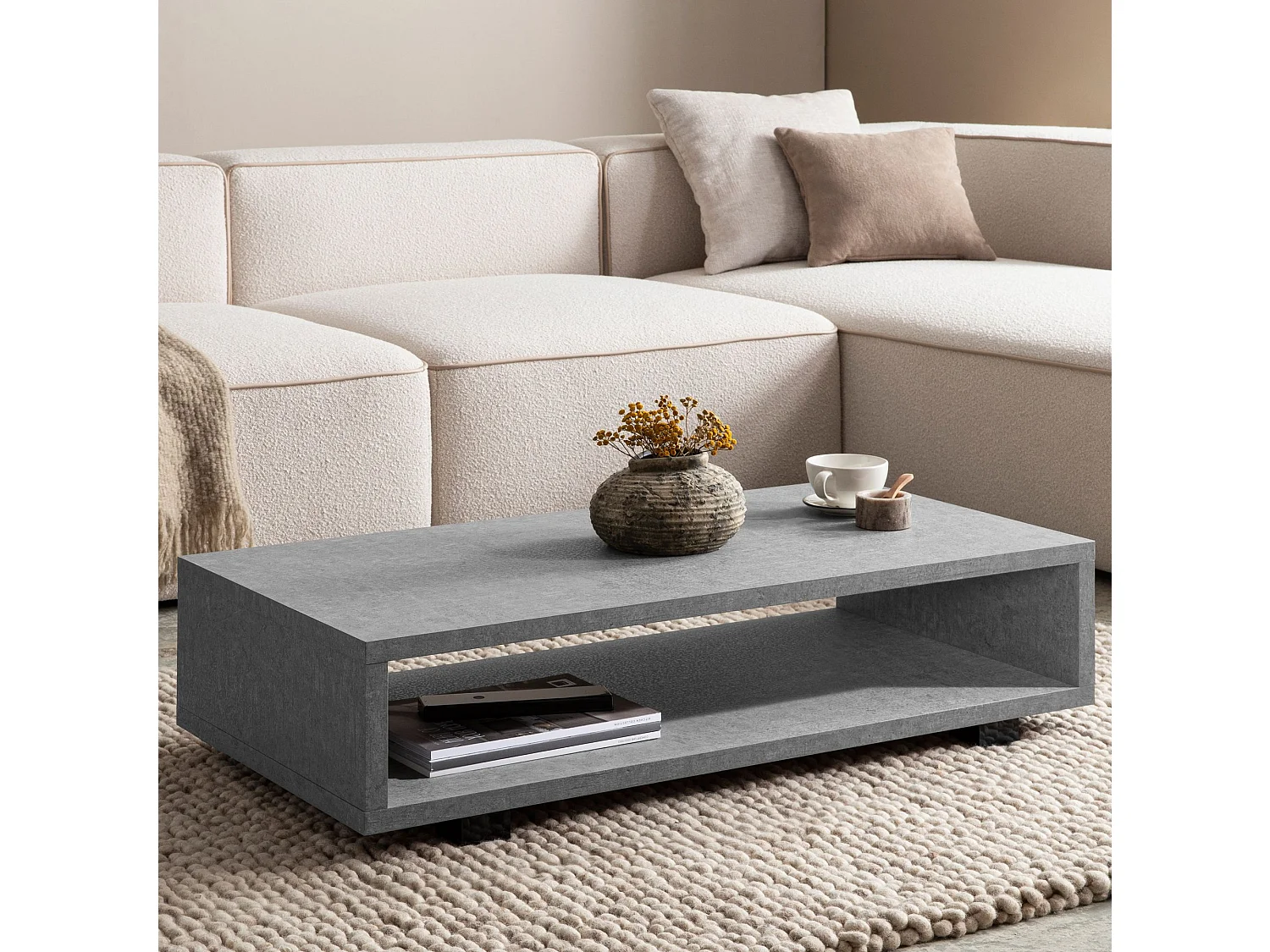 Table Basse de Salon 100 cm Grande Moderne Rangement Rectangulaire