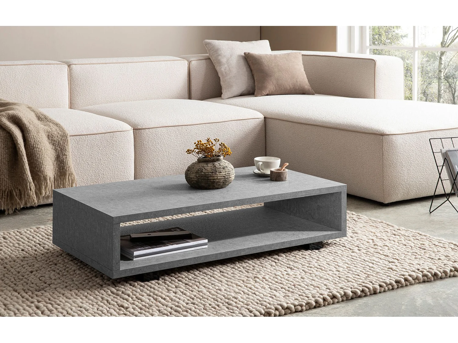 Table Basse de Salon 100 cm Grande Moderne Rangement Rectangulaire