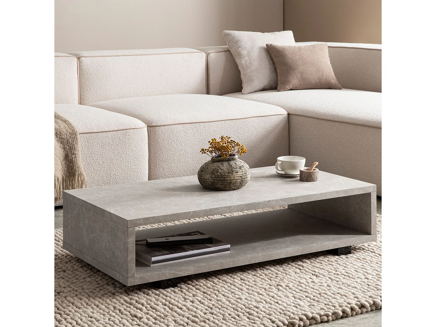 Table Basse de Salon 100 cm Grande Moderne Rangement Rectangulaire