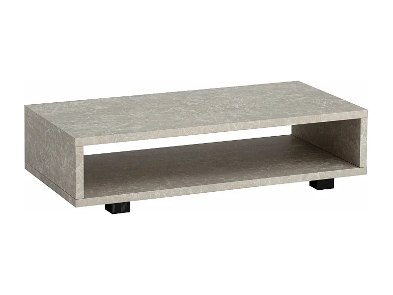 Table Basse de Salon 100 cm Grande Moderne Rangement Rectangulaire
