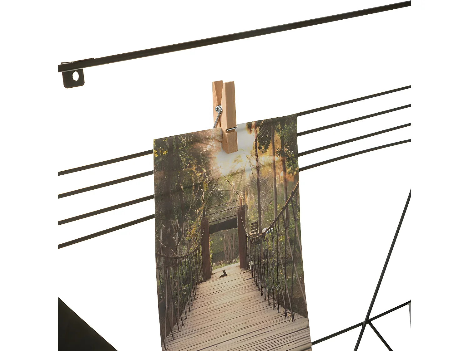 Présentoir mural Porte Photos à suspendre en Métal Noir