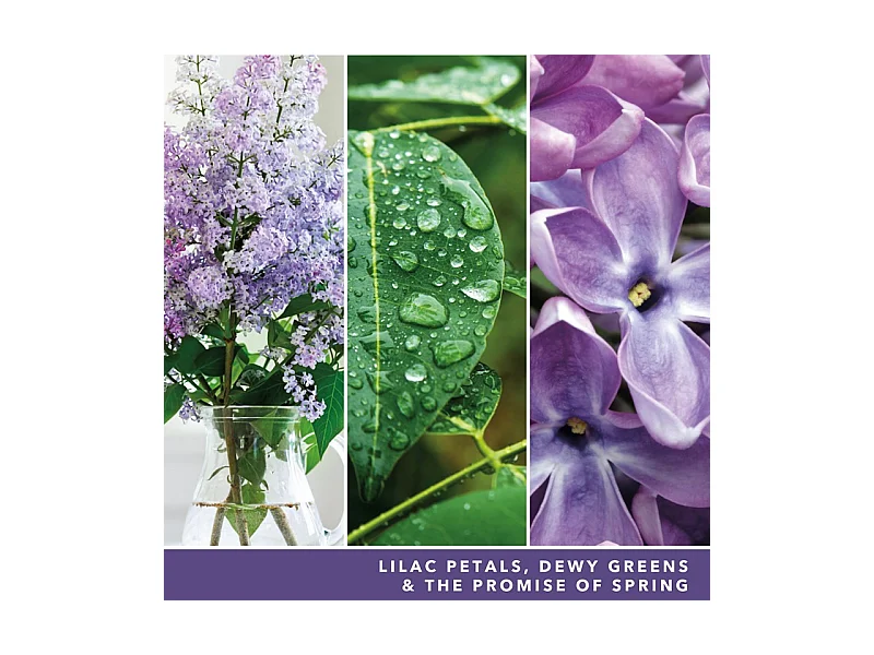 Bougie parfumée en pot moyen, Lilac Blossoms, violet 368 gr, Signature