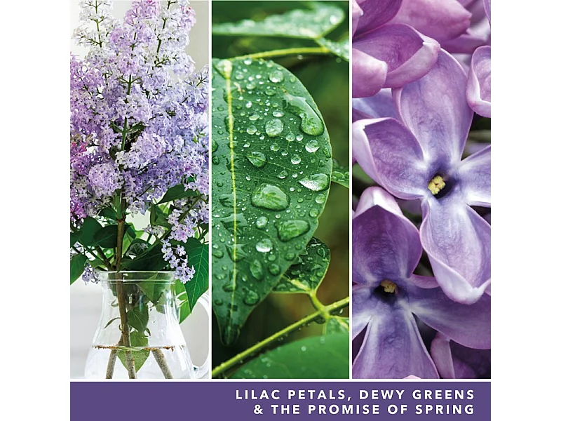 Bougie parfumée en pot moyen, Lilac Blossoms, violet 368 gr, Signature