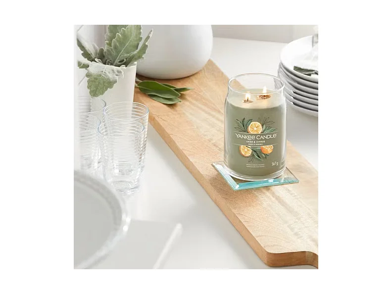 Bougie parfumée en grand pot, Sage & Citrus, vert 567 gr, Signature