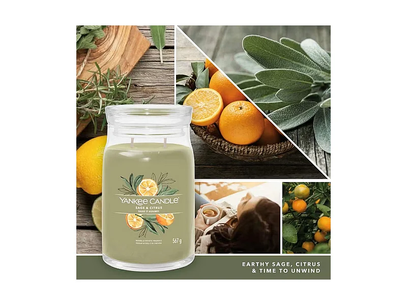 Bougie parfumée en grand pot, Sage & Citrus, vert 567 gr, Signature