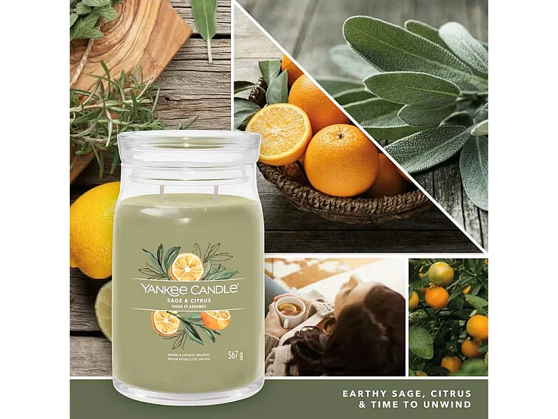 Bougie parfumée en grand pot, Sage & Citrus, vert 567 gr, Signature