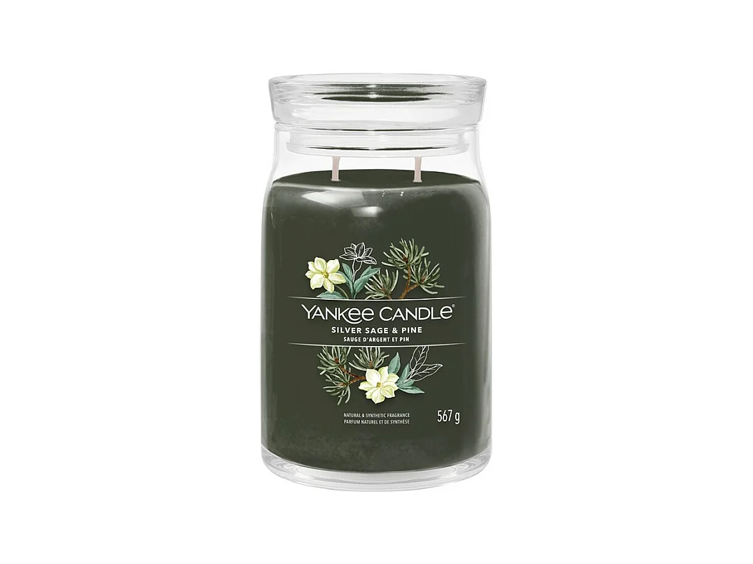 Bougie parfumée en grand pot, Silver Sage & Pine, vert 567 gr, Signature