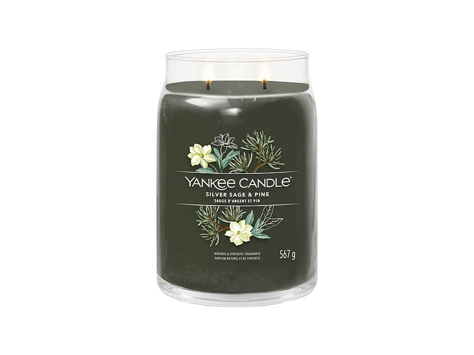 Bougie parfumée en grand pot, Silver Sage & Pine, vert 567 gr, Signature
