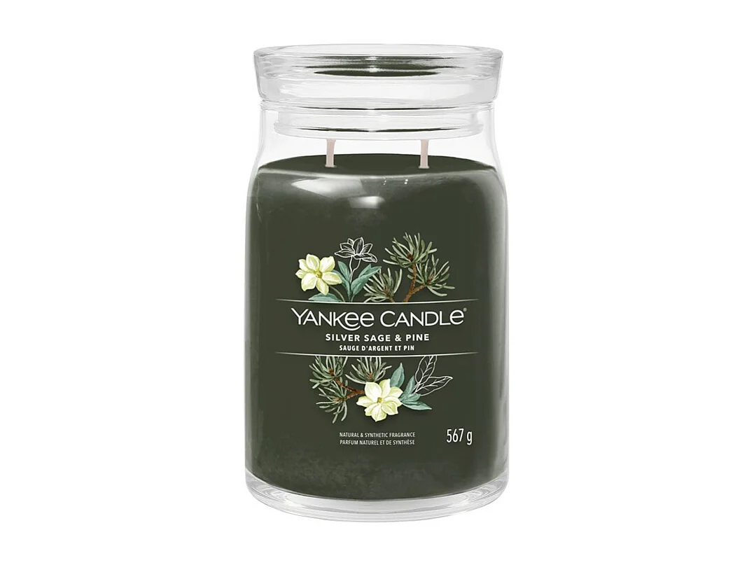 Bougie parfumée en grand pot, Silver Sage & Pine, vert 567 gr, Signature