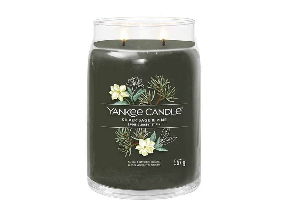 Bougie parfumée en grand pot, Silver Sage & Pine, vert 567 gr, Signature