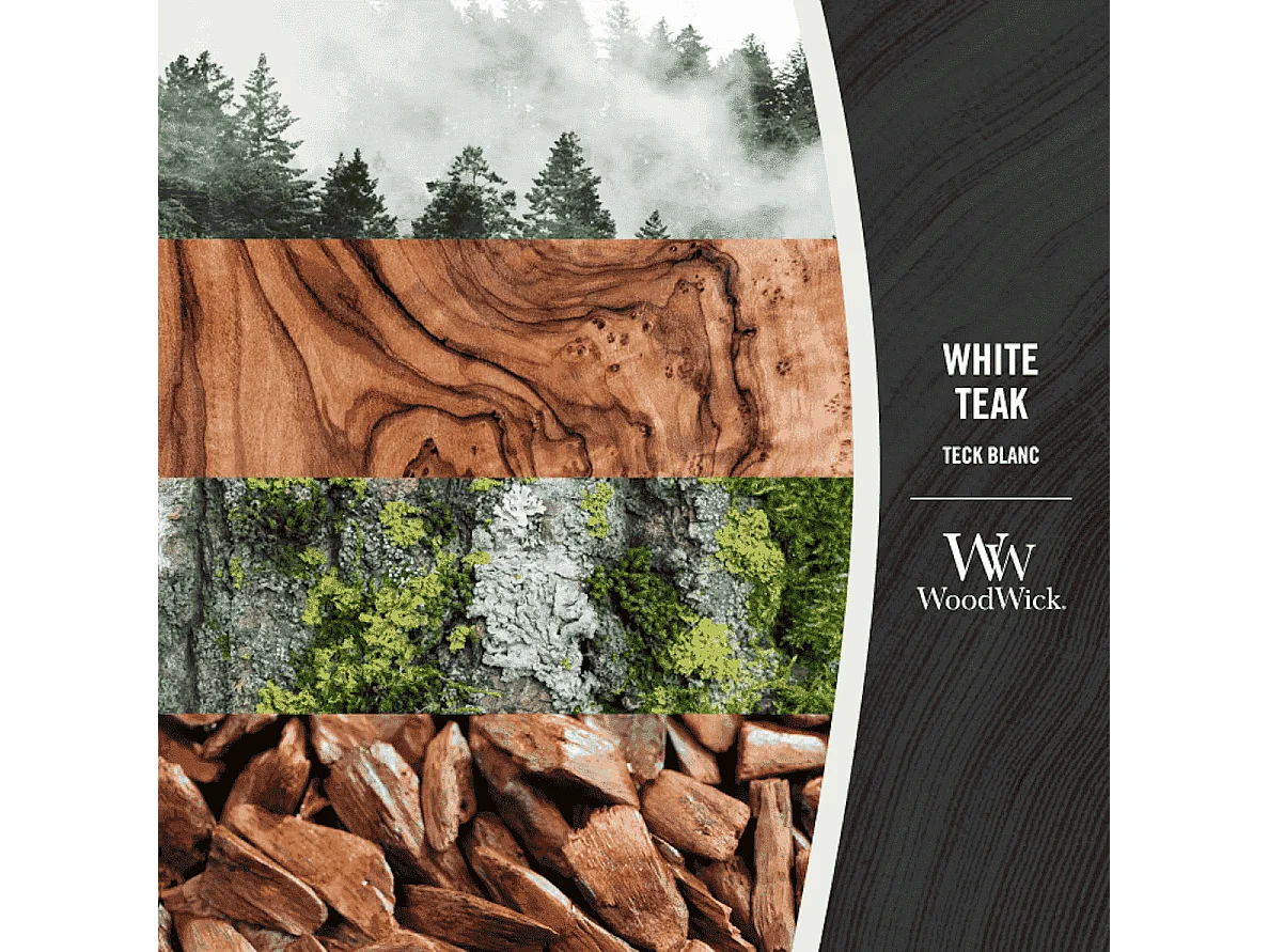 Bougie parfumée ellipse, White Teak, blanc 453 gr