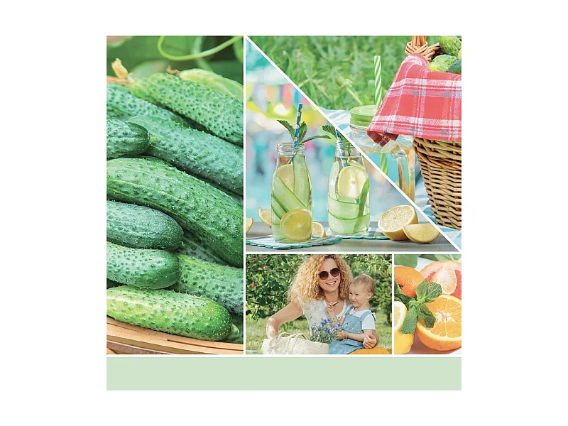 Bougie parfumée en pot moyen, Cucumber Mint Cooler, vert 368 gr, Signature
