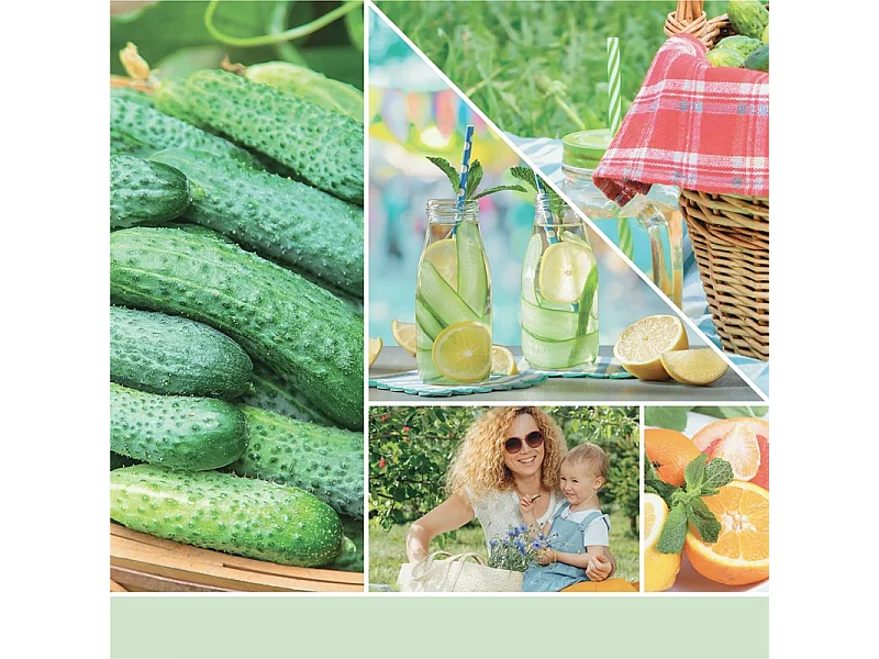 Bougie parfumée en pot moyen, Cucumber Mint Cooler, vert 368 gr, Signature