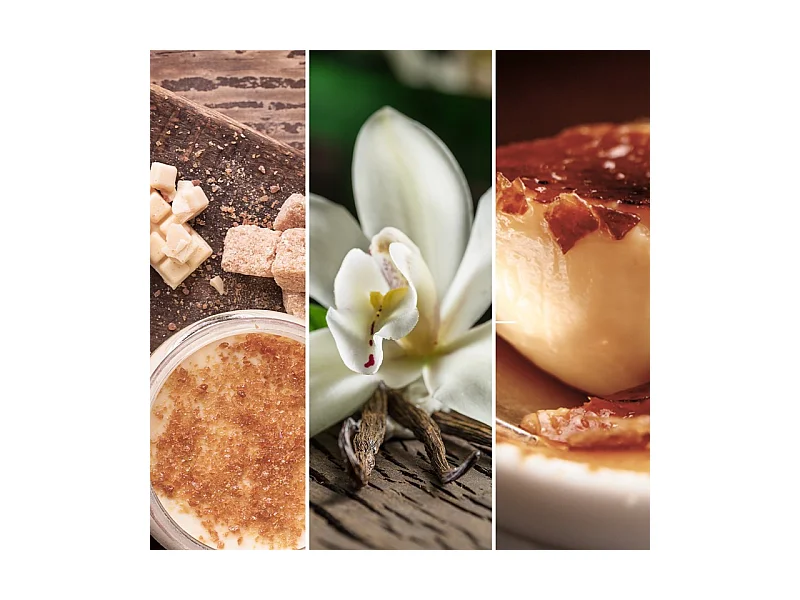 Bougie parfumée en grand pot, Vanilla Creme Brulee, beige 567 gr, Signature