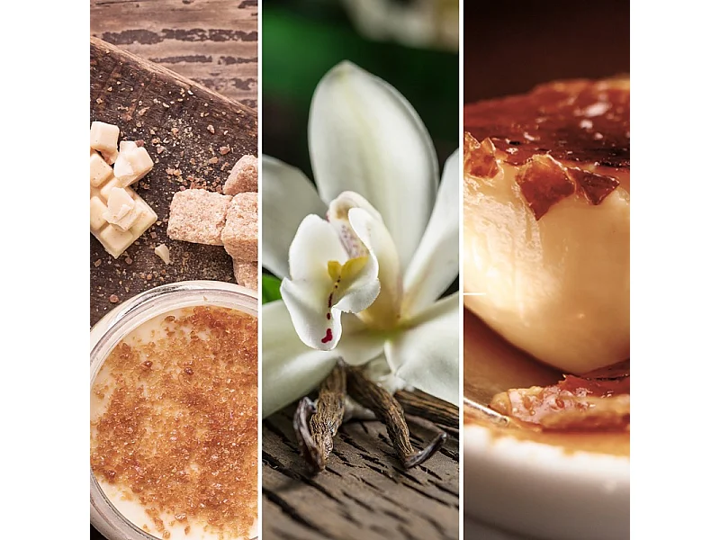 Bougie parfumée en grand pot, Vanilla Creme Brulee, beige 567 gr, Signature