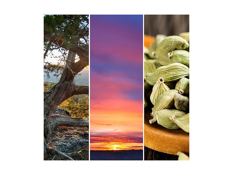 Bougie parfumée en grand pot, Twilight Tunes, bleu 567 gr, Signature