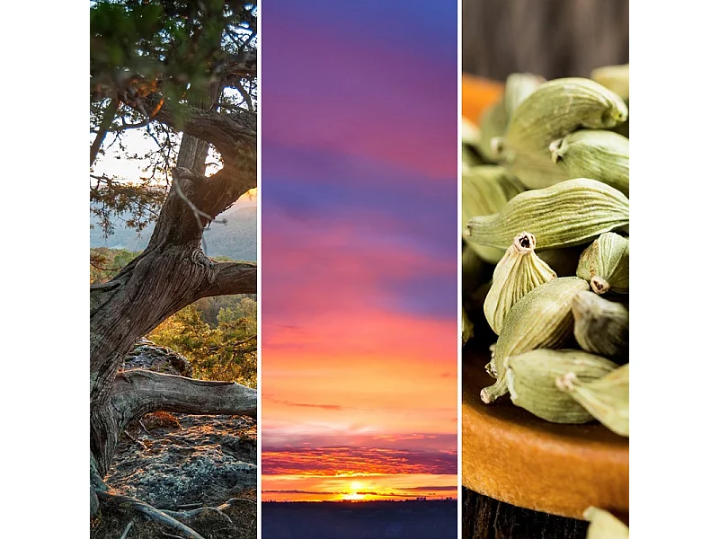 Bougie parfumée en grand pot, Twilight Tunes, bleu 567 gr, Signature