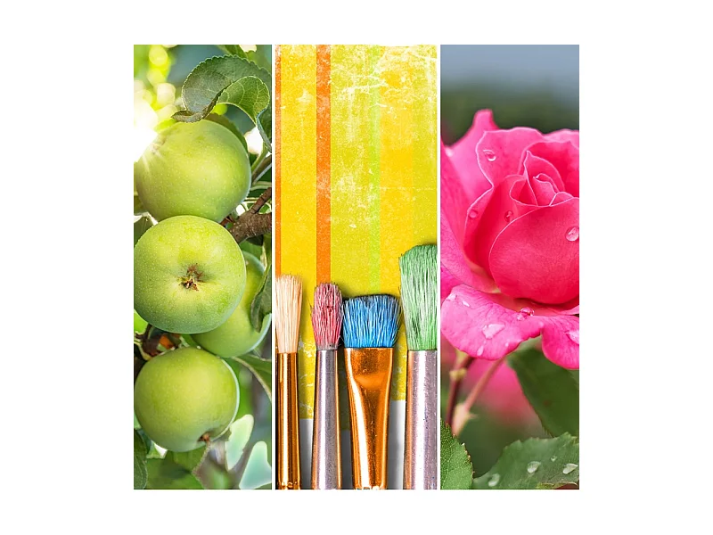 Bougie parfumée en grand pot, Art in the Park, rose 567 gr, Signature