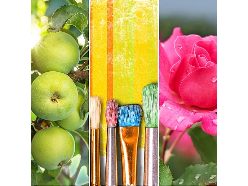 Bougie parfumée en grand pot, Art in the Park, rose 567 gr, Signature