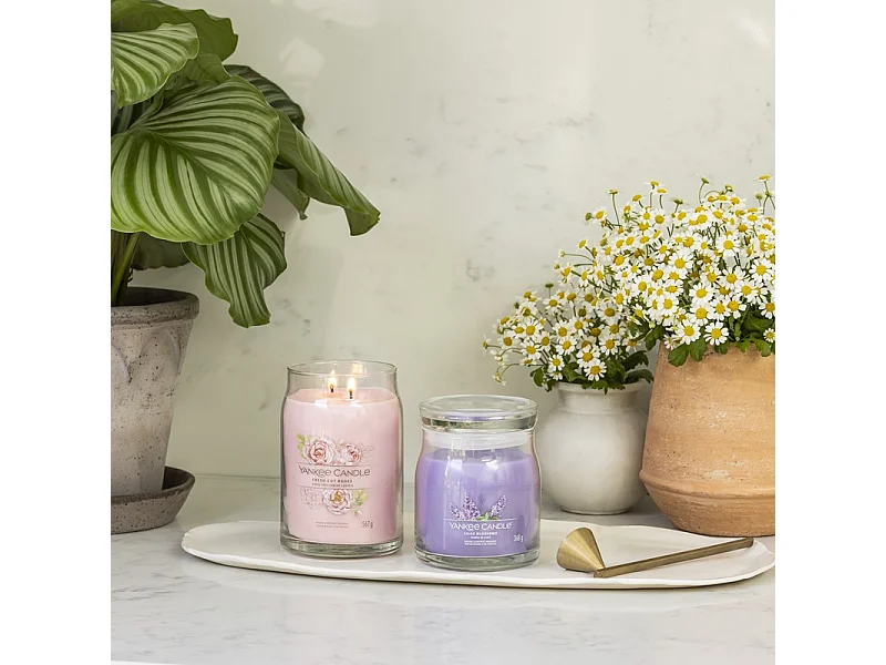 Bougie parfumée en grand pot, Fresh Cut Roses, rose 567 gr, Signature