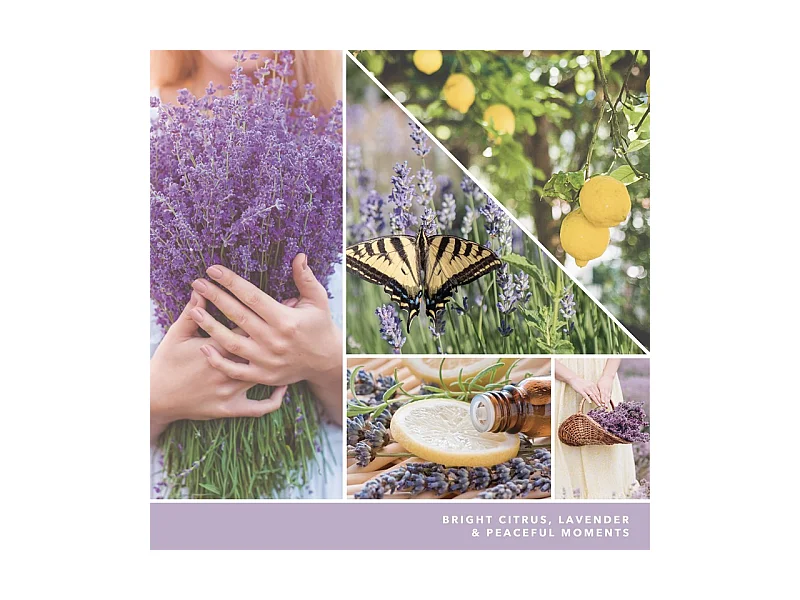 Bougie parfumée en pot moyen, Lemon Lavender, noir 368 gr, Signature