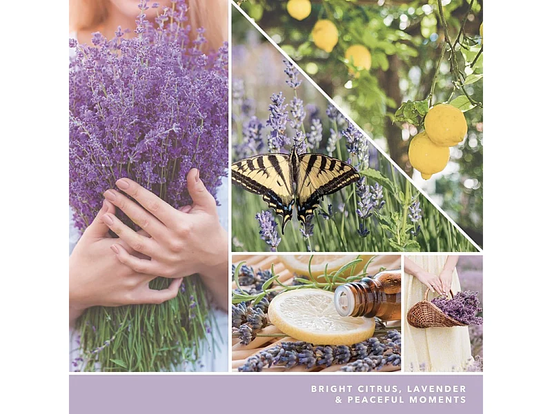 Bougie parfumée en pot moyen, Lemon Lavender, noir 368 gr, Signature