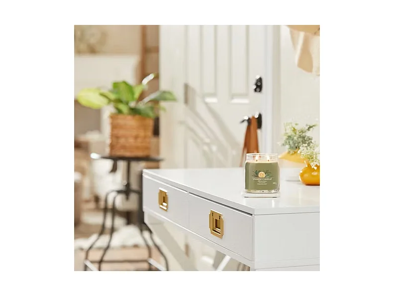 Bougie parfumée en pot moyen, Silver Sage & Pine, vert 368 gr, Signature