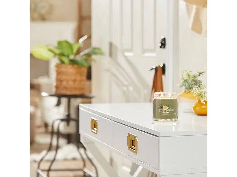 Bougie parfumée en pot moyen, Silver Sage & Pine, vert 368 gr, Signature