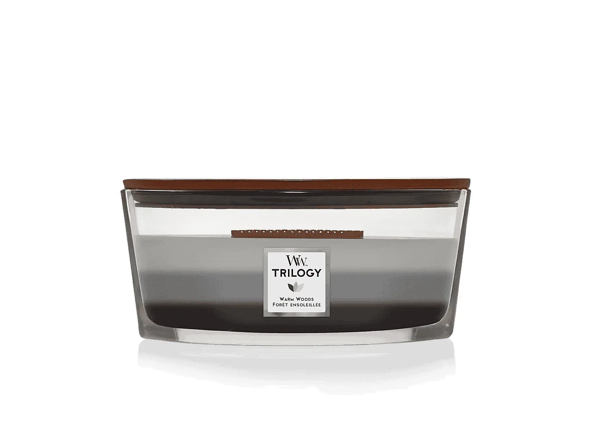 Bougie parfumée ellipse, Warm Woods, gris 453 gr