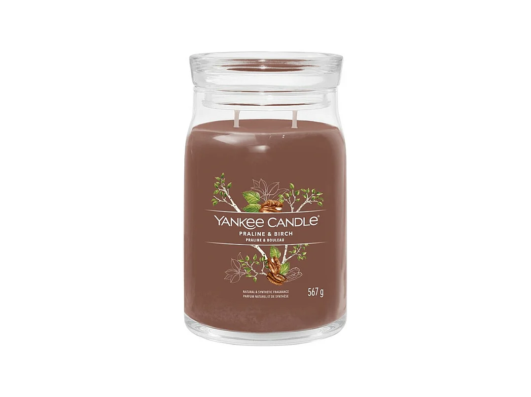 Bougie parfumée en grand pot, Praline & Birch, marron 567 gr, Signature