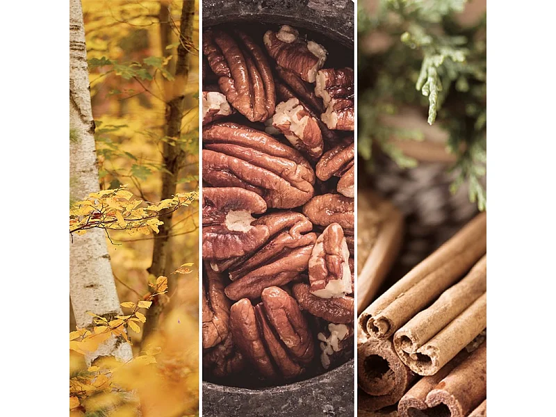 Świeca zapachowa w dużym słoju, Praline & Birch, brązowy 567 gr, Signature