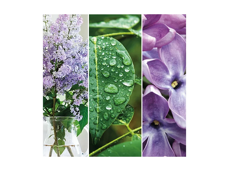 Bougie parfumée en grand pot, Lilac Blossoms, violet 567 gr, Signature