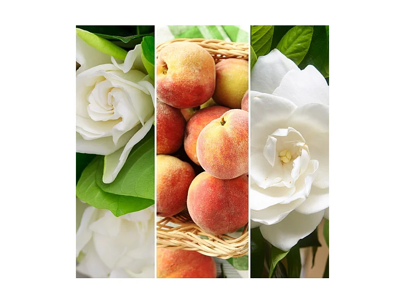 Bougie parfumée en grand pot, White Gardenia, blanc 567 gr, Signature