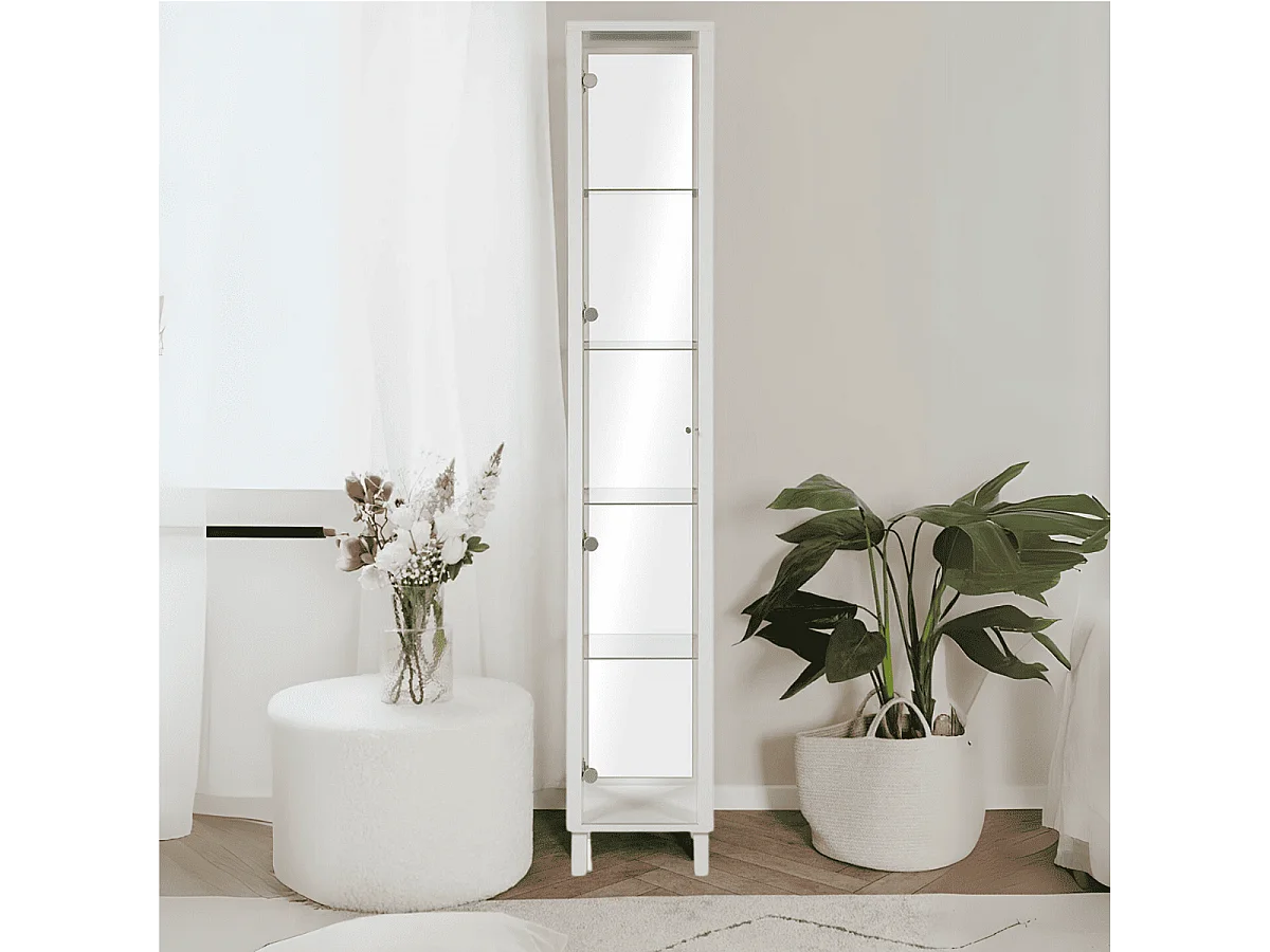 Vetrina colore bianco con anta e 4 ripiani Albi52A 33x33x189H