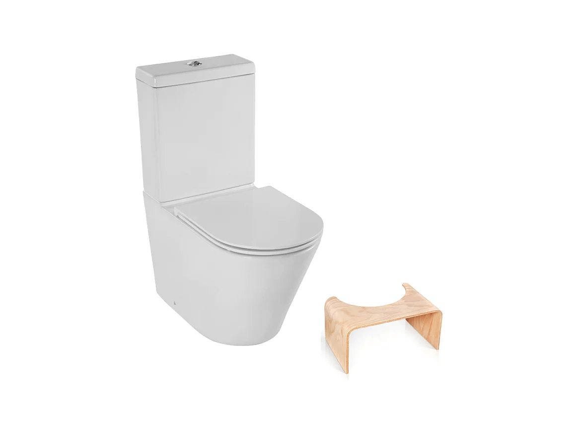 WC au sol sans bride JACOB DELAFON Rodin+ sortie vario avec abattant +  tabouret physiologique bois