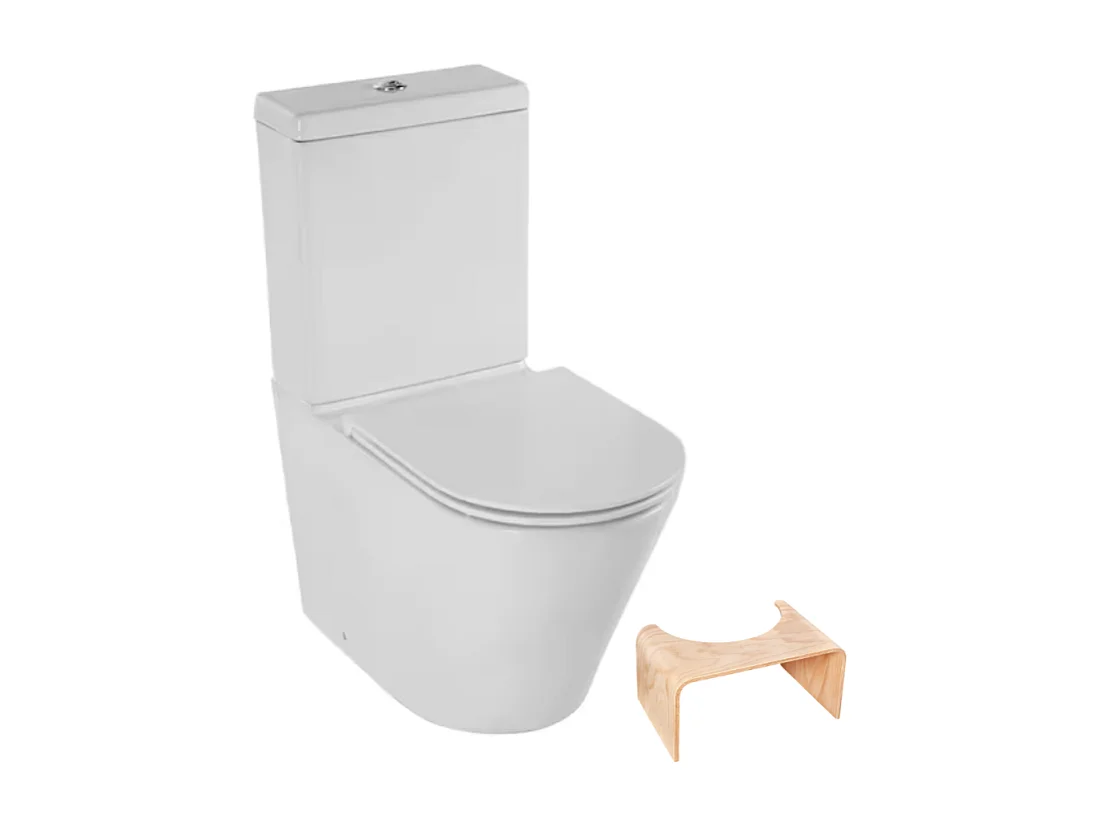 WC à poser sans bride sortie universelle JACOB DELAFON Rodin+ avec abattant frein de chute +  tabouret physiologique bois