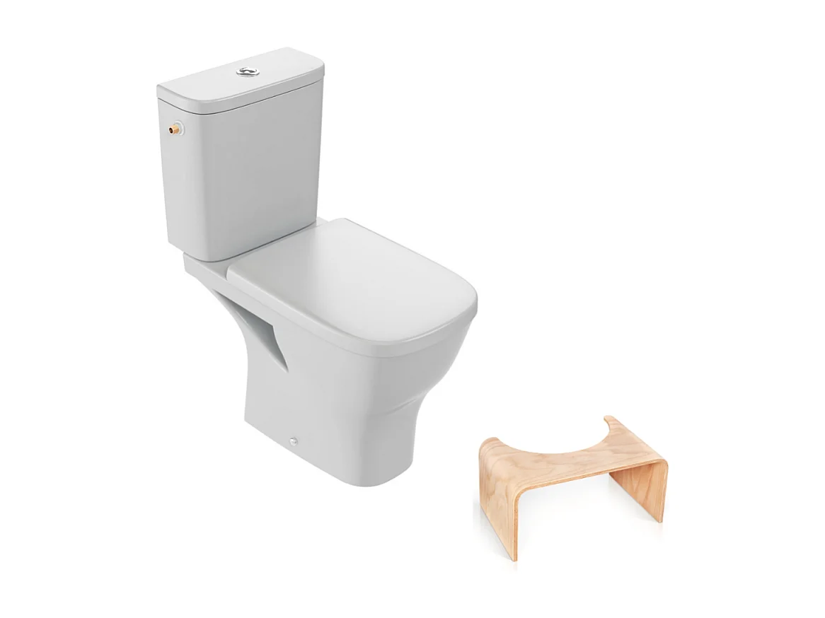 WC à poser sans bride JACOB DELAFON Struktura + abattant + Tabouret physiologique bois