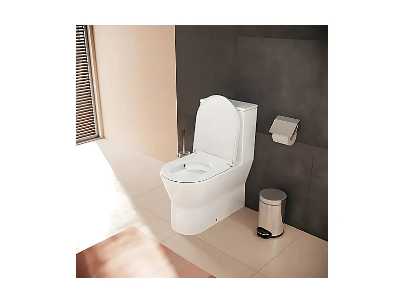WC à poser sans bride Elupura Original S
