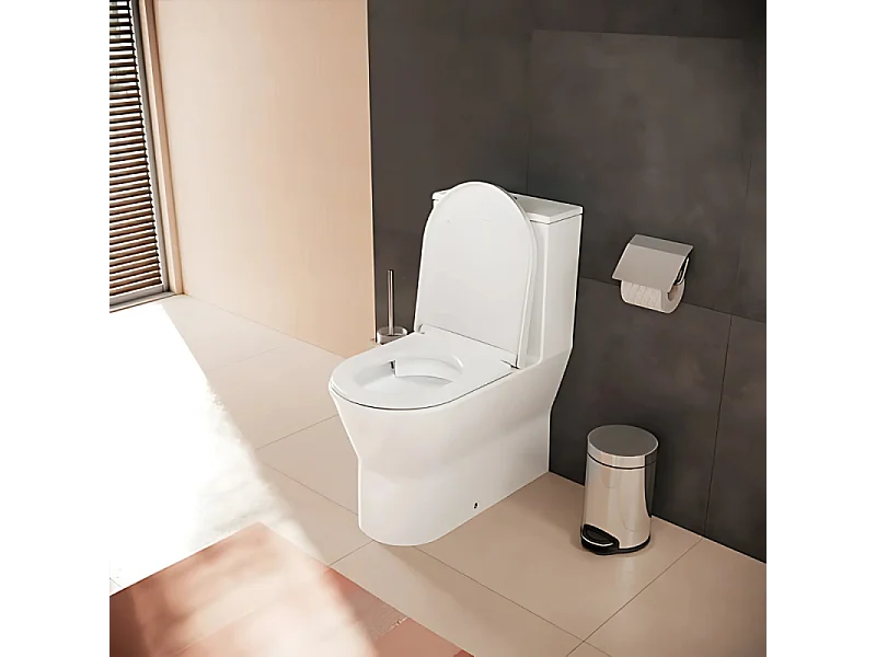 WC à poser sans bride sortie universelle HANSGROHE Elupura Original S avec abattant