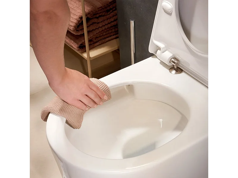 WC à poser sans bride sortie universelle HANSGROHE Elupura Original S avec abattant