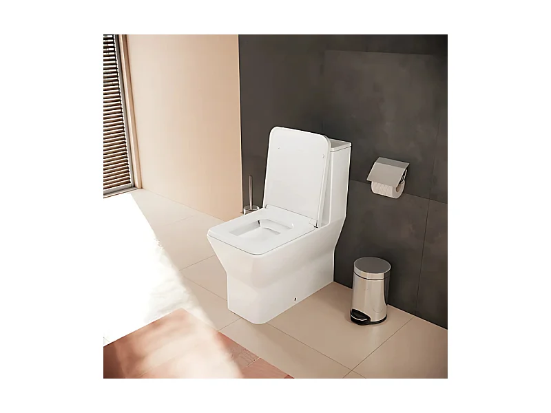 WC à poser sans bride Elupura Original Q