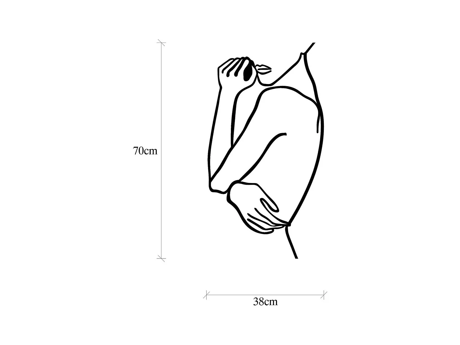 Accesorio decorativo de pared – 70 x 0,15 x 38 cm – Negro – Metal