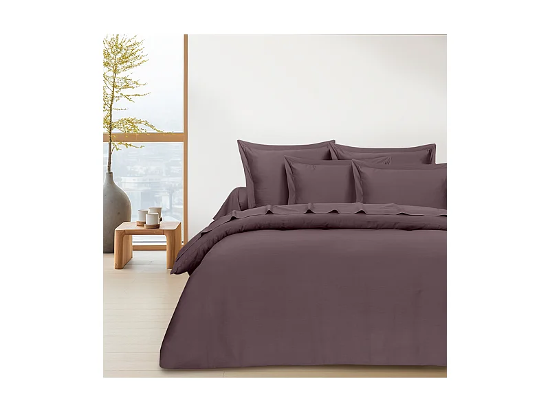 Bettwäschegarnitur 1 Bettbezug 200x200 cm+2 Kopfkissenbez 63x63 cm