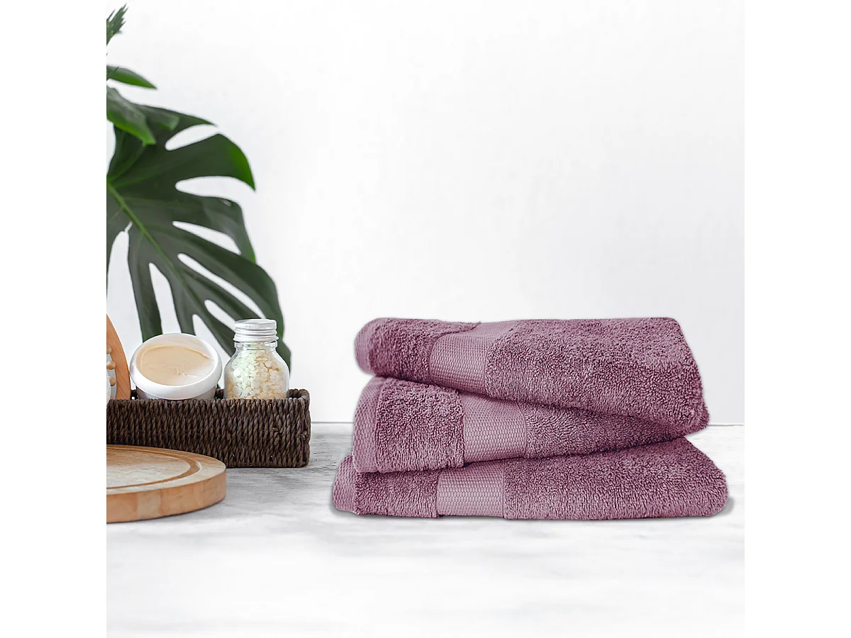 Lot de 3 serviettes éponge 50x90 cm 500 gr/m2 100% coton