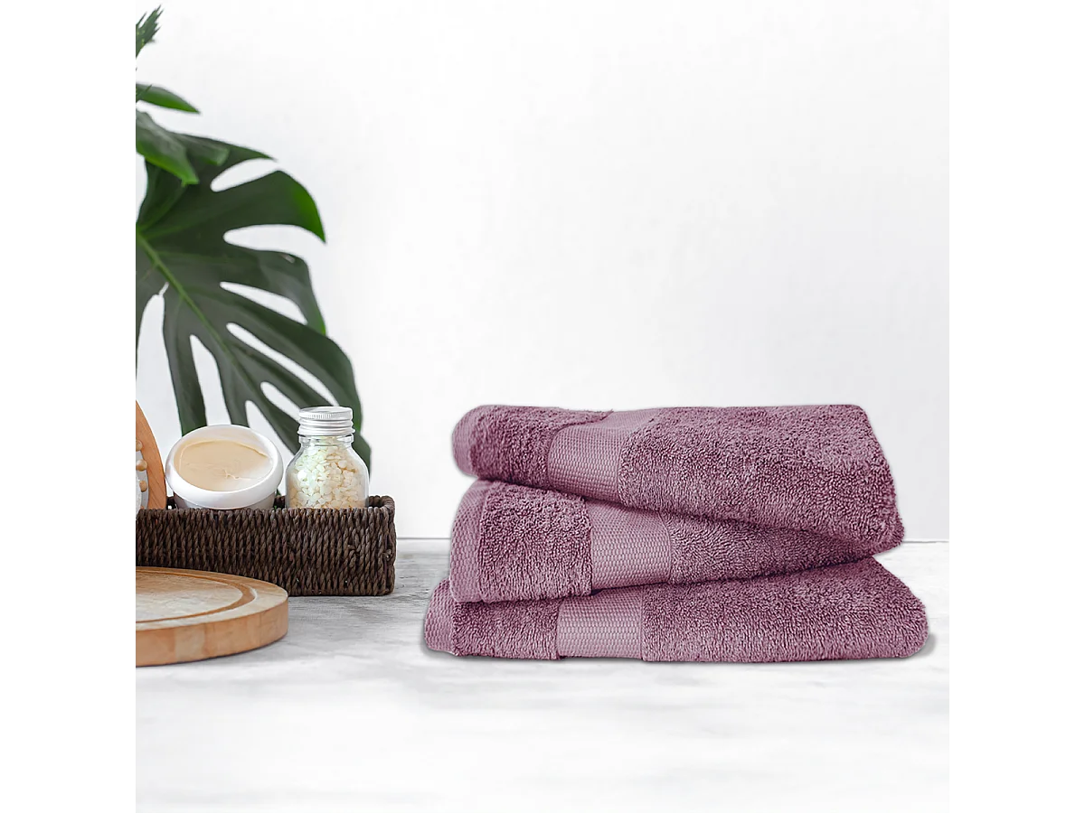 Lot de 3 serviettes éponge 50x90 cm 500 gr/m2 100% coton