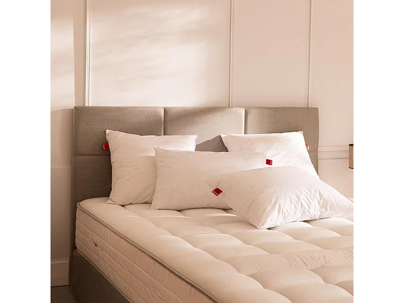 Oreiller Epeda Héritage 50x70 cm