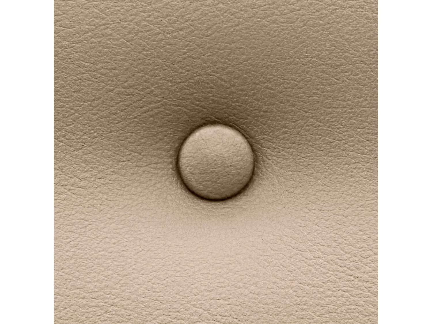 DHOME Tête de Lit en Similicuir avec 3 Rangées de Boutons Tête de Lit Rembourrée de Luxe (Champagne, 110cm)