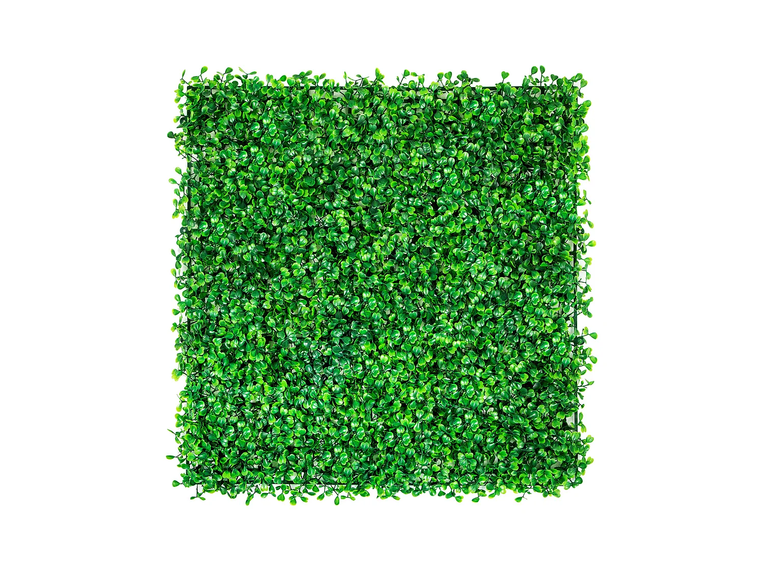 Panneau de Buis Artificiel SucceBuy 12 pièces 25.4cm x 25.4cm Tapis Mural de Haie D'herbe pour Clôture