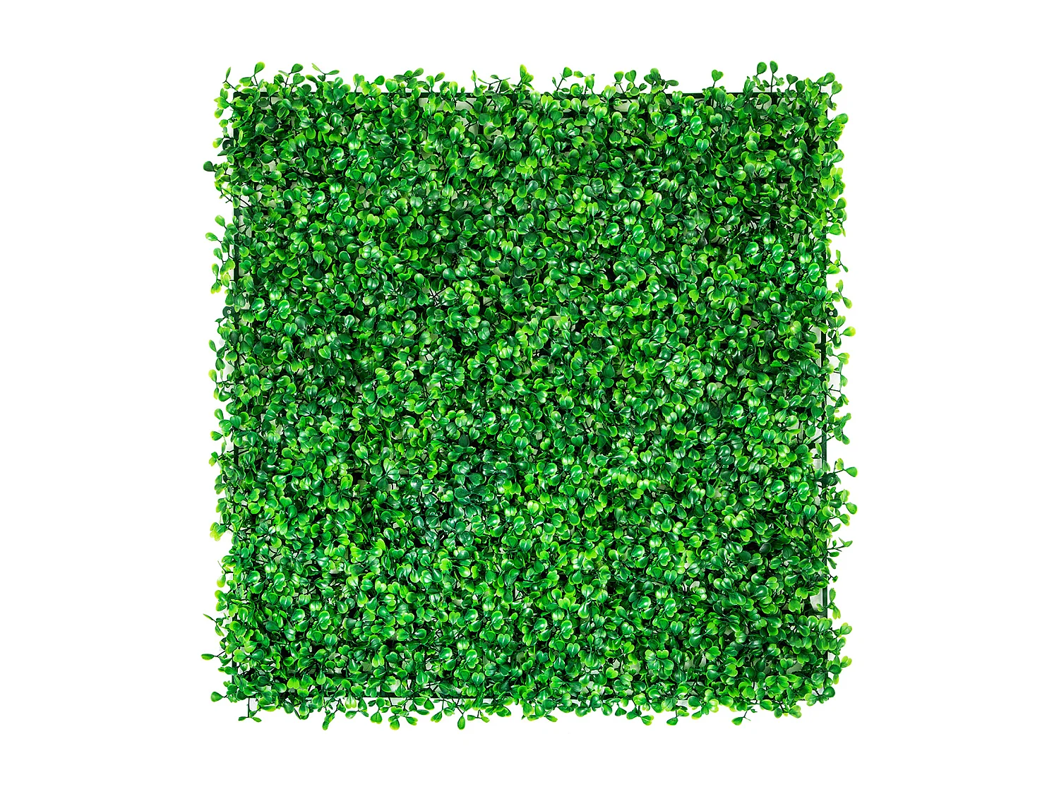 Künstliche Buchsbaumplatten SucceBuy, 12 Stück, 25,4 cm x 25,4 cm, Grashecke, Wandmatte für Zaun