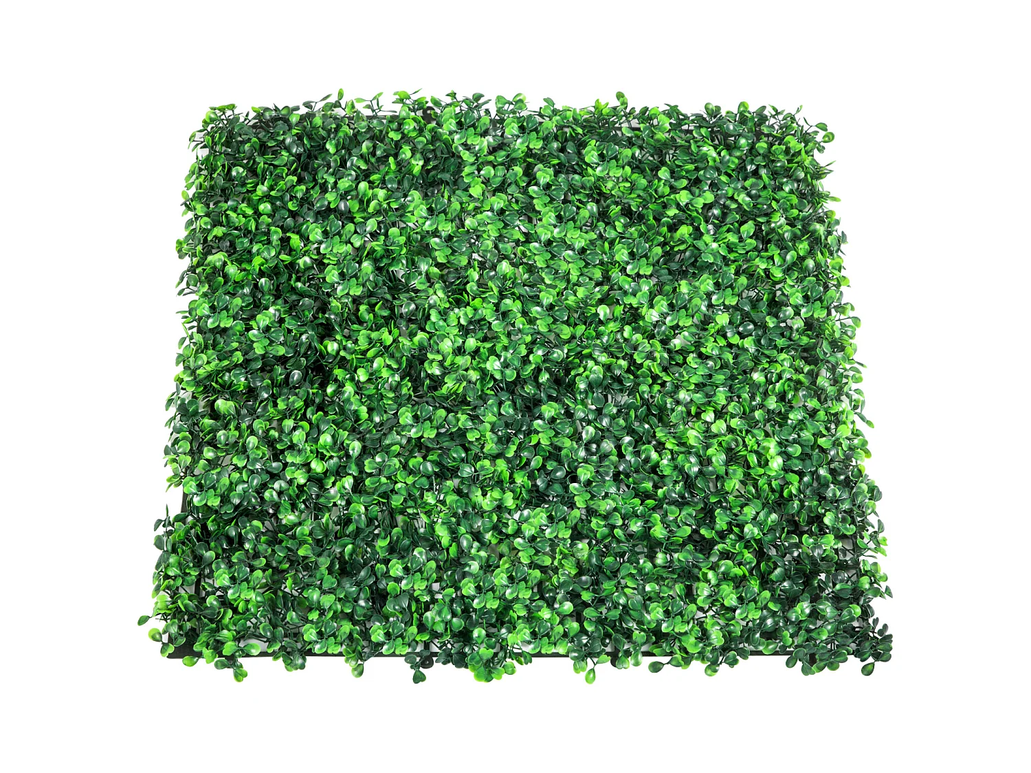 Panneaux de Buis Artificiels SucceBuy UV 24 pièces 50.8cm x 50.8cm Clôture Murale de Haie